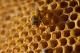 How To Keep Raw Honey Safe And Pure